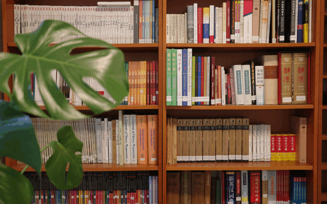 Sprachkurse für das WiSe 25/26